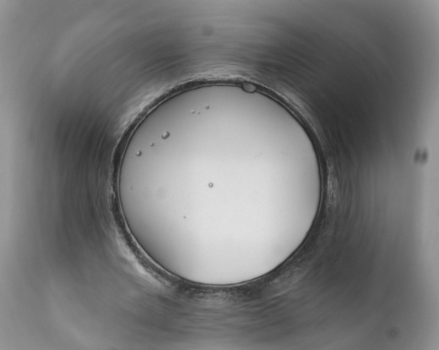 X0000111380485200907241313