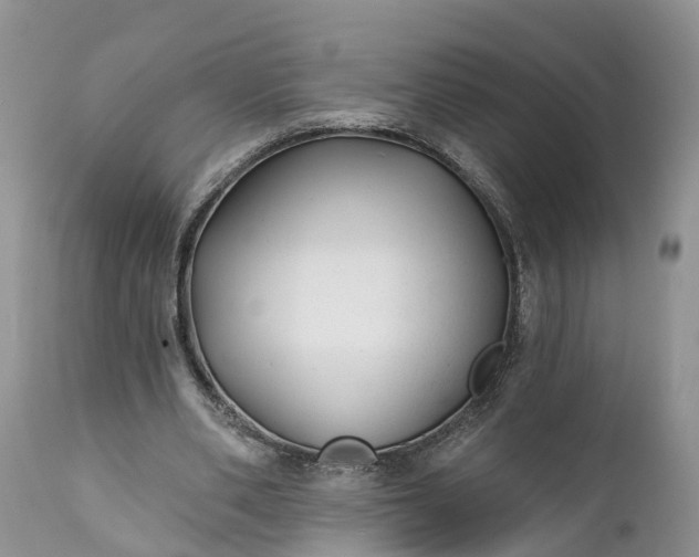 X0000111380486200907241313