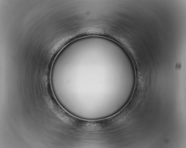 X0000111380487200907241313