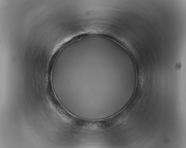 X0000111380488200907241313