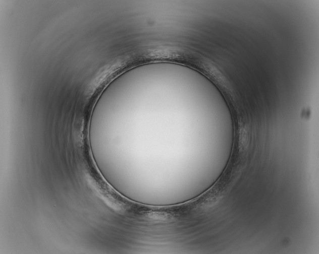 X0000111380490200907241313