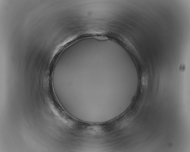 X0000111380492200907241313