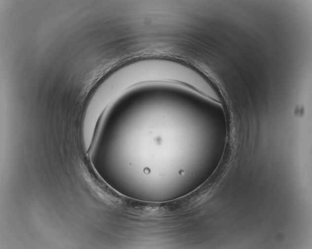 X0000111380493200907241313