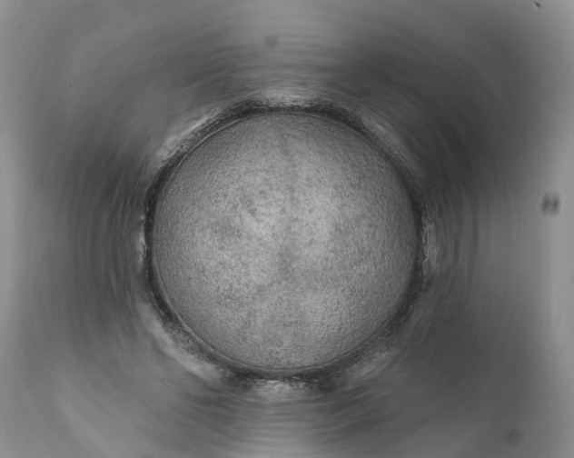 X0000111380494200907241313