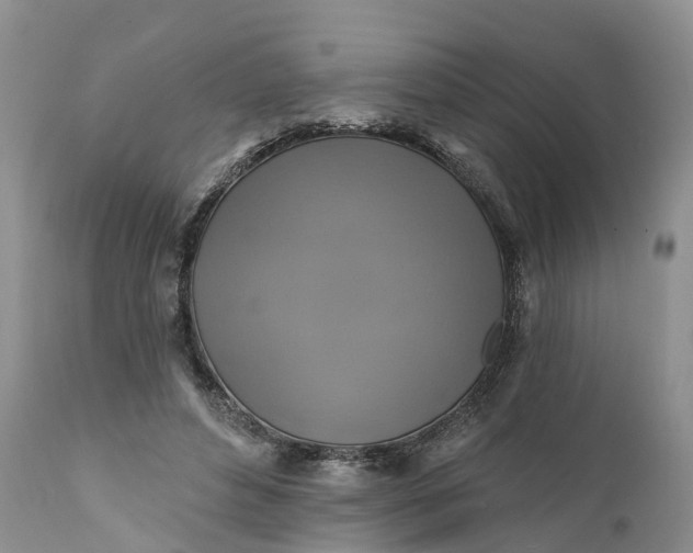 X0000111380496200907241313