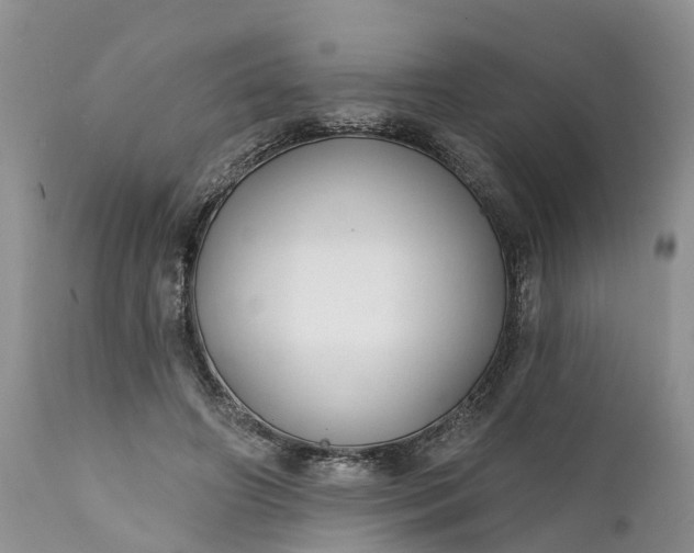 X0000111380498200907241313