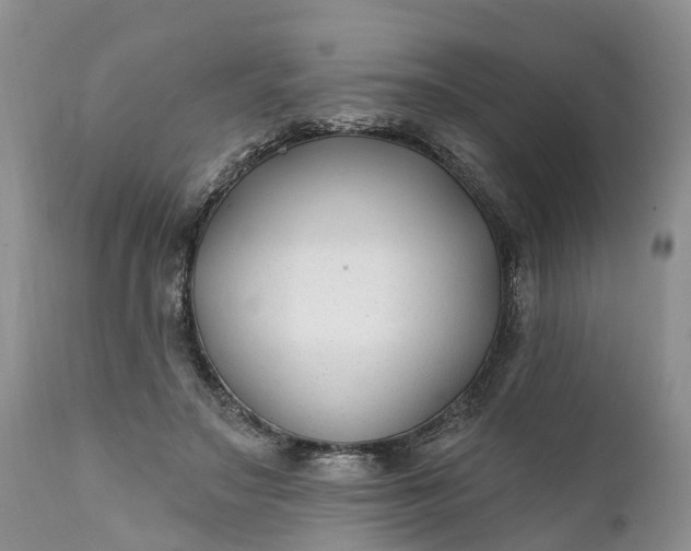 X0000111380499200907241313