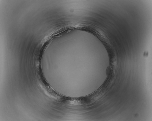 X0000111380500200907241313