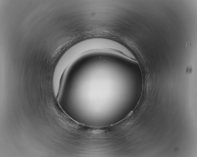 X0000111380501200907241313