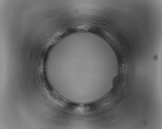 X0000111380504200907241313