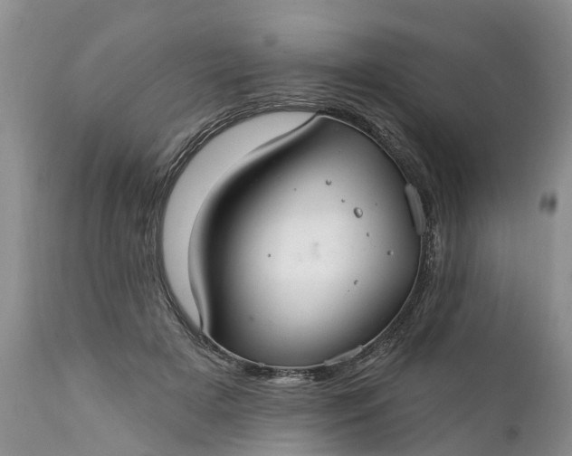 X0000111380505200907241313