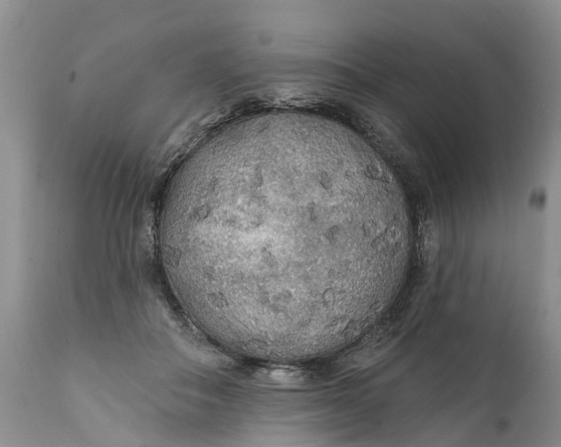 X0000111380506200907241313