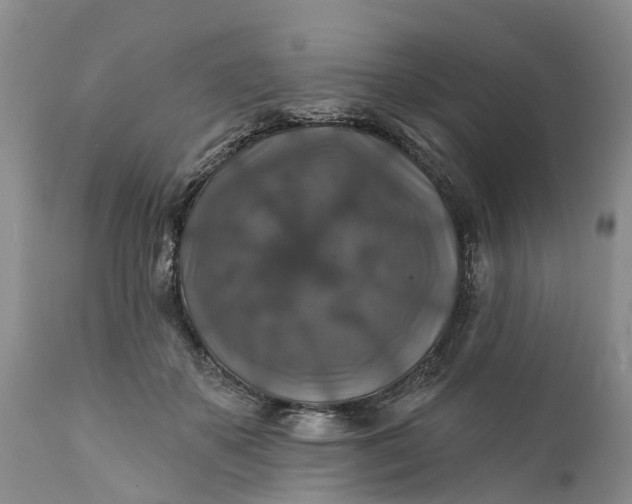 X0000111380507200907241313