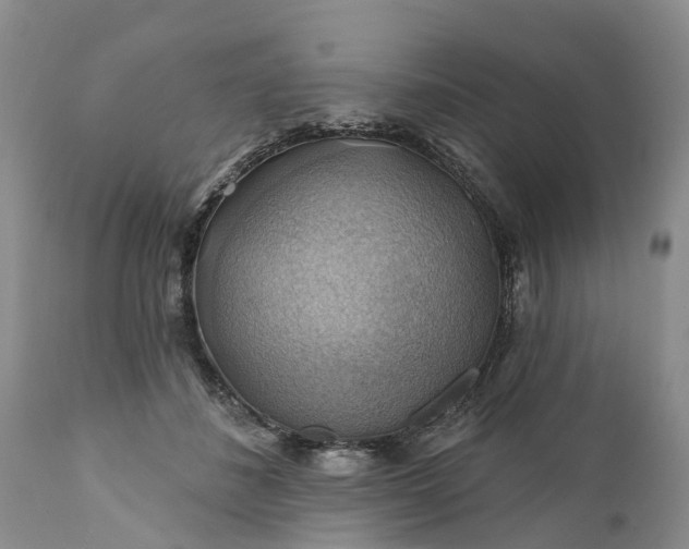 X0000111380508200907241313