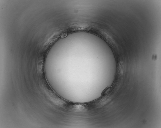 X0000111380509200907241313