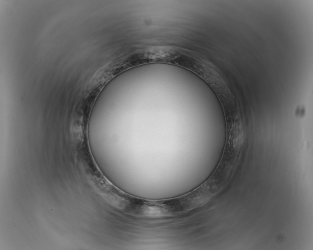 X0000111380510200907241313