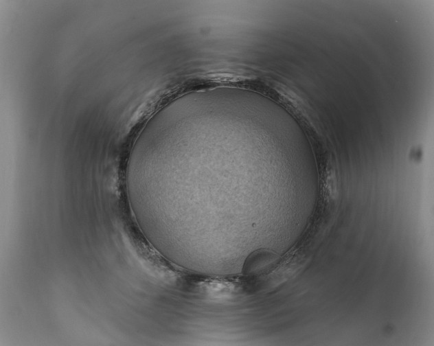 X0000111380512200907241313