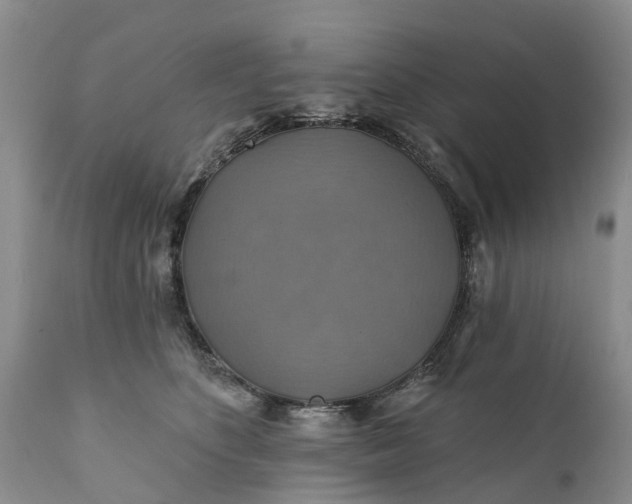 X0000111380516200907241313