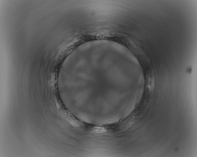 X0000111380519200907241313