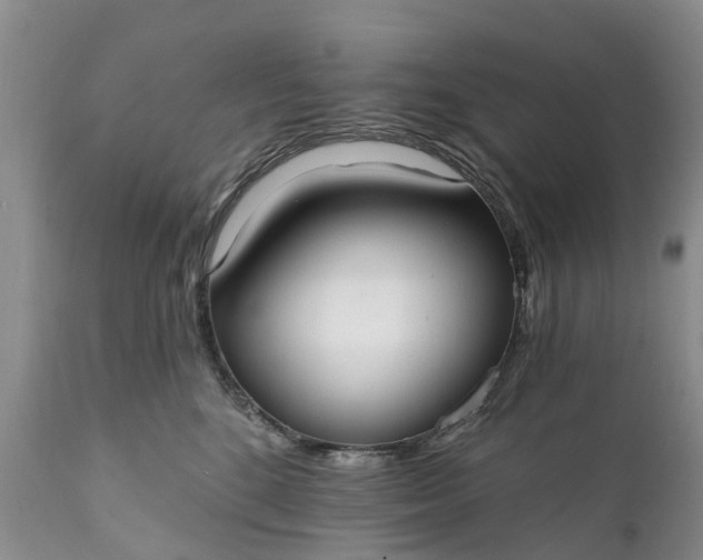 X0000111380520200907241313