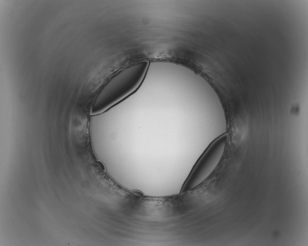 X0000111380521200907241313