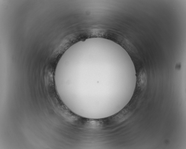 X0000111380522200907241313