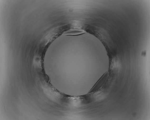 X0000111380524200907241313