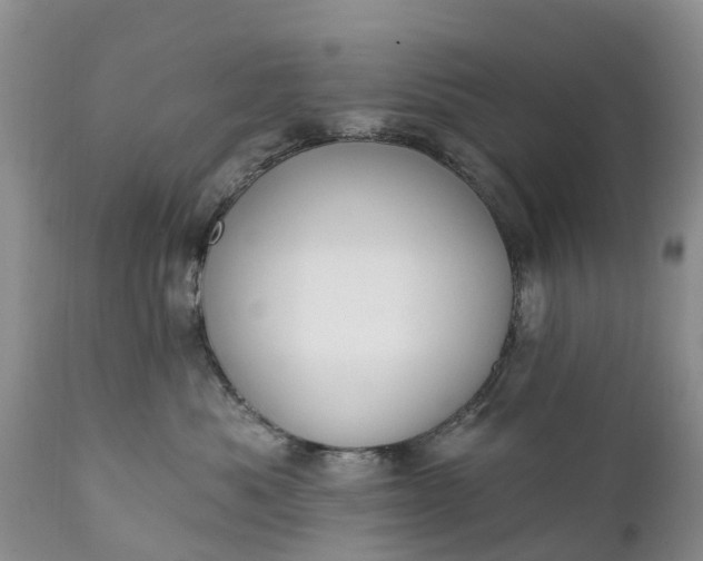 X0000111380525200907241312