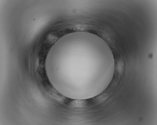 X0000111380526200907241312