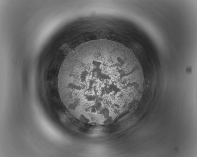 X0000111380527200907241312