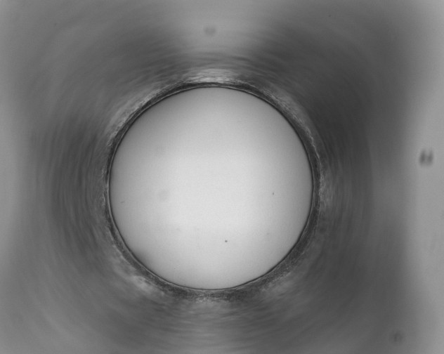 X0000111380529200907241312