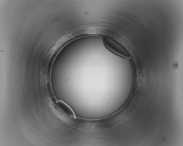 X0000111380530200907241312