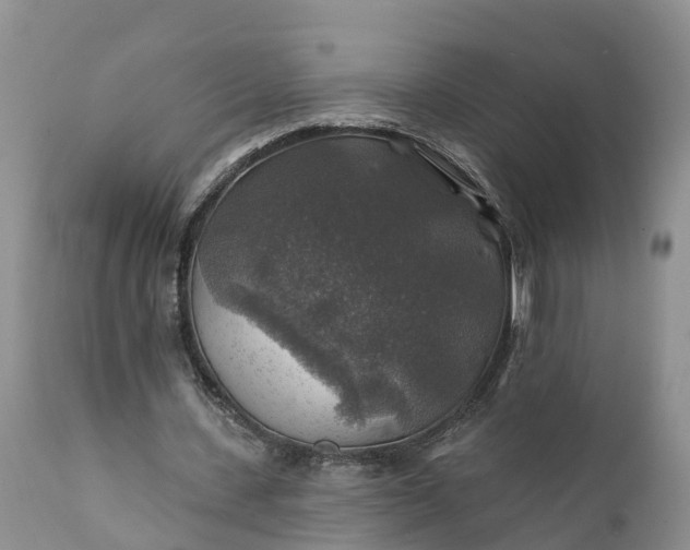 X0000111380531200907241312