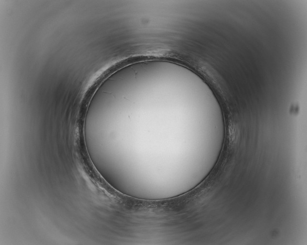 X0000111380532200907241312