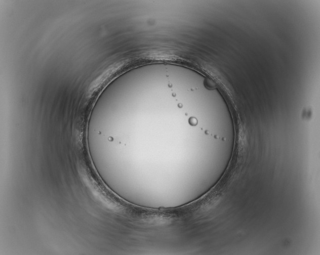 X0000111380533200907241312