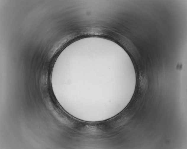 X0000111380534200907241312