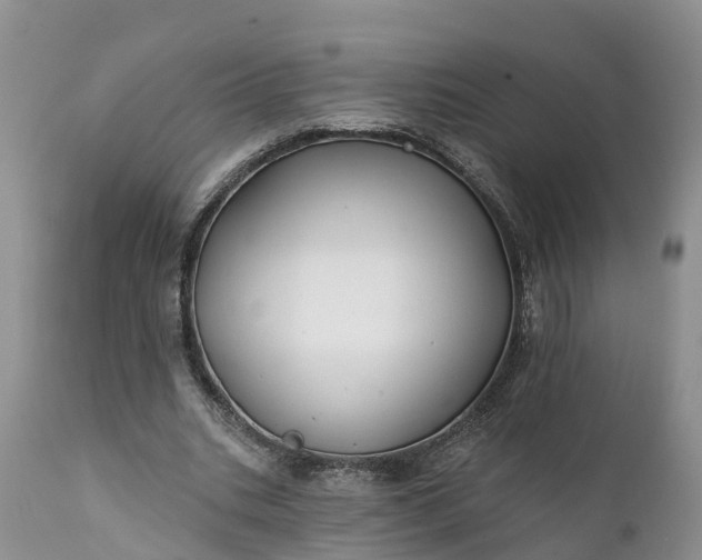 X0000111380535200907241312