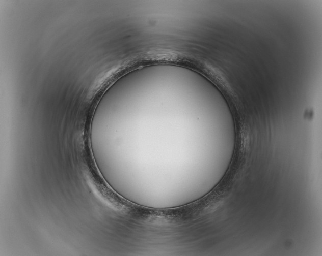 X0000111380538200907241312