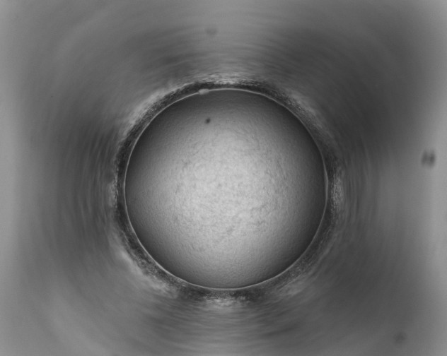 X0000111380540200907241312