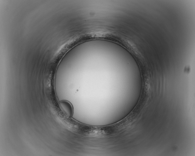 X0000111380543200907241312