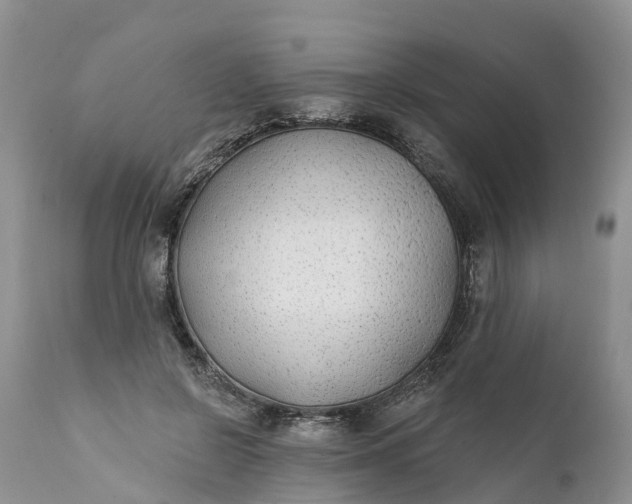 X0000111380550200907241312