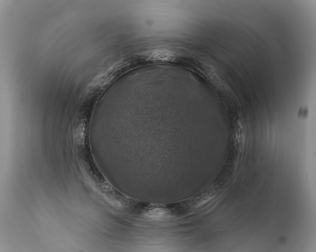 X0000111380551200907241312