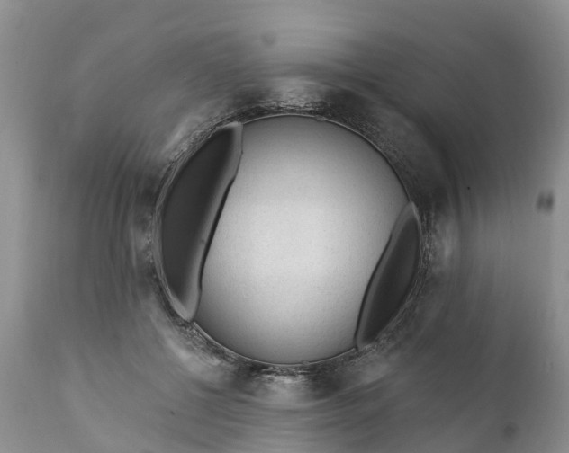 X0000111380552200907241312