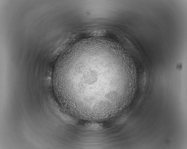 X0000111380553200907241312