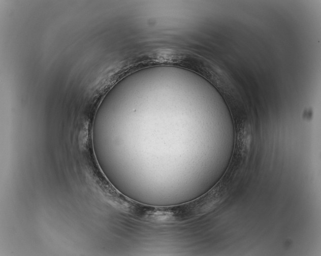 X0000111380554200907241312