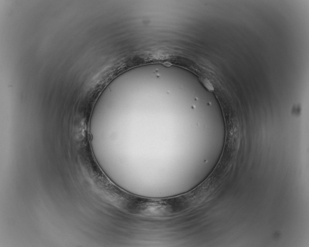 X0000111380555200907241312