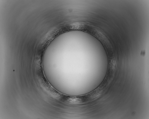 X0000111380557200907241312