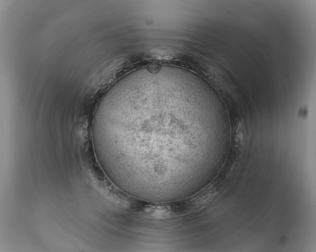 X0000111380559200907241312