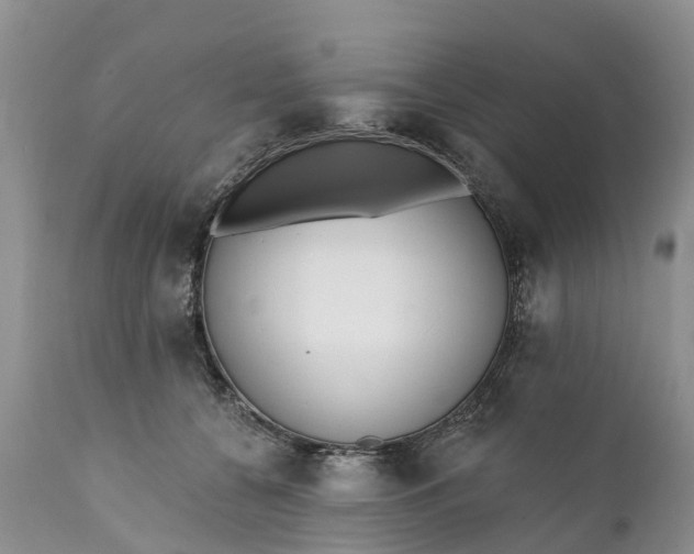 X0000111380560200907241312