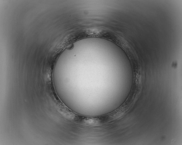 X0000111380561200907241312